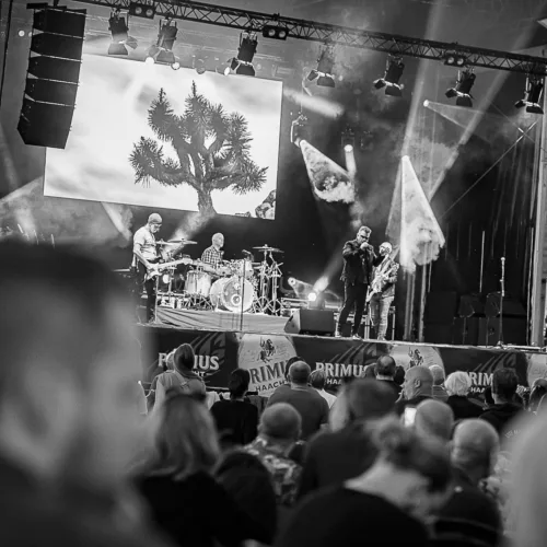 Haacht, 25/07/2025, Foto's Snapp-it -foto 6